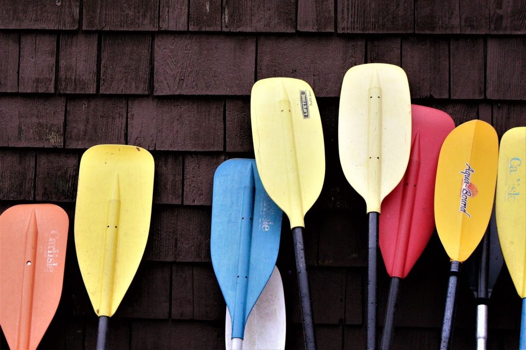 Colourful kayak paddle blades leaning against a wooden wall