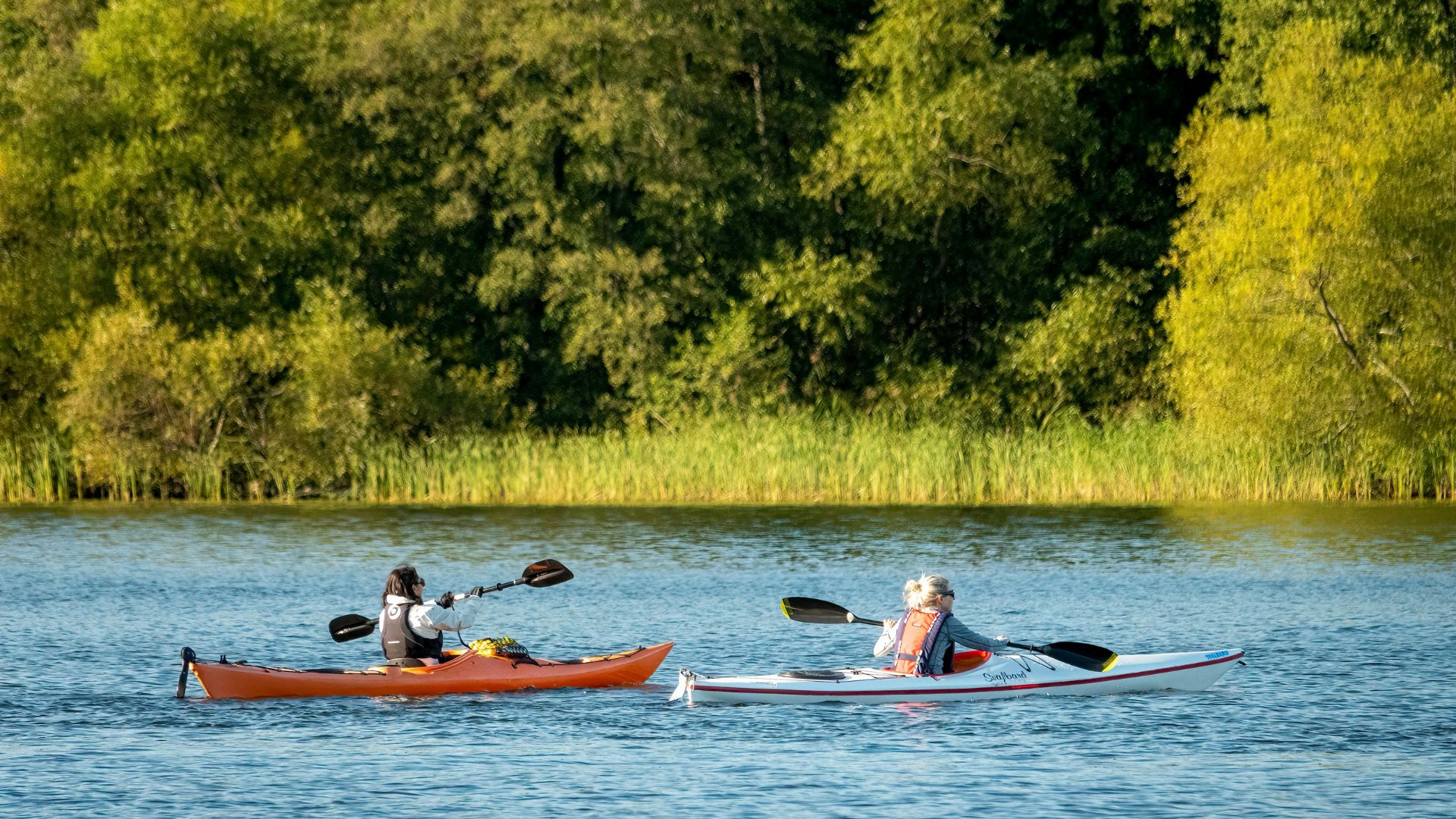 Two paddlers kayaking in South Wales beside a wooded shoreline