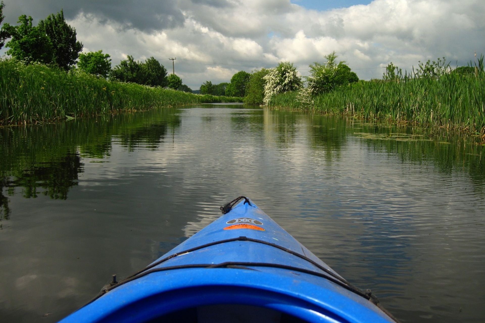 View from the bow of a blue kayak along a calm river bordered by reeds and trees