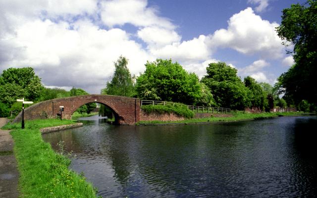 Brick bridge over a leafy canal junction