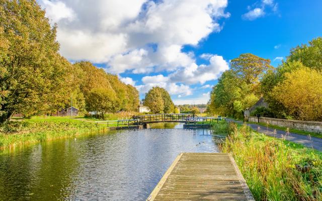 Trees and a wooden landing beside the Forth and Clyde Canal