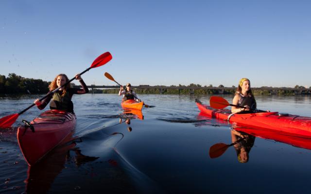 Three paddlers in colourful kayaks on calm water