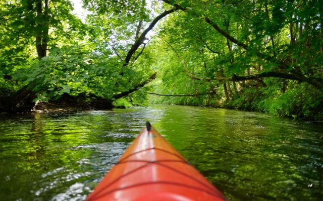 View from an orange kayak along a tree-lined river