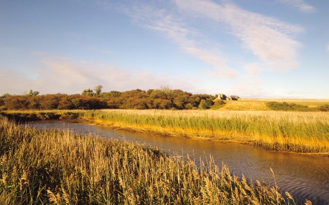 Reed-lined waterway beneath an open Norfolk sky