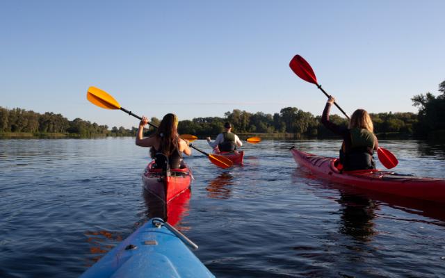A group of kayakers paddling across open water
