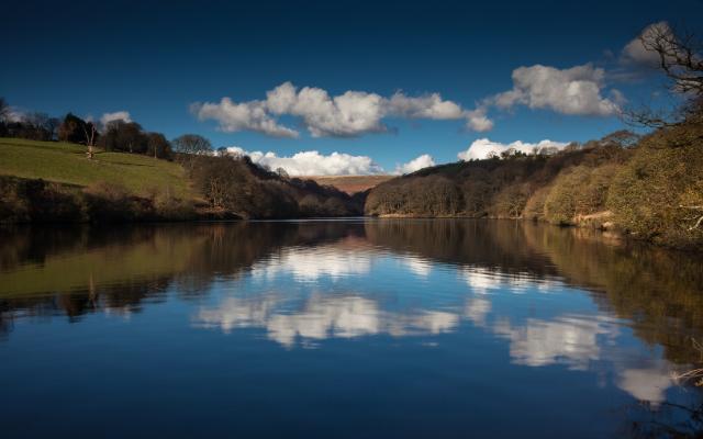 Wooded shoreline at Lower Lliw Reservoir