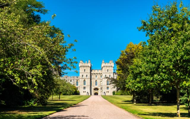 Tree-lined approach to a castle gateway