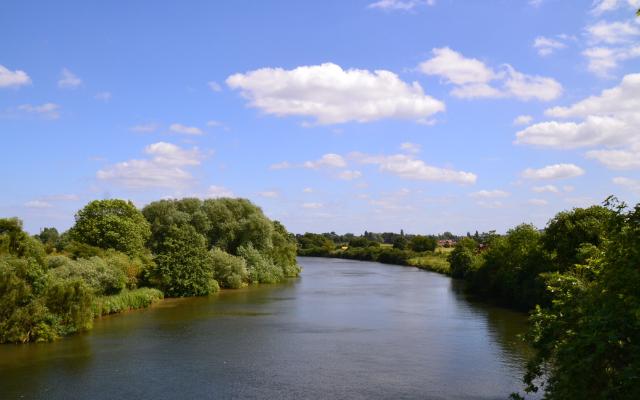 Tree-lined banks of the River Thames