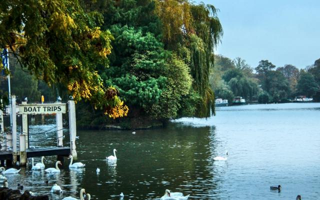 Tree-lined bank and landing beside the River Thames at Windsor